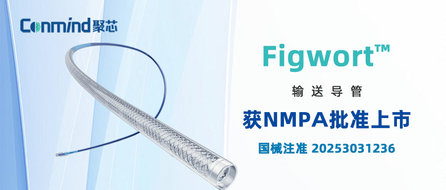 获批上市 | Figwort™输送导管获NMPA批准上市
